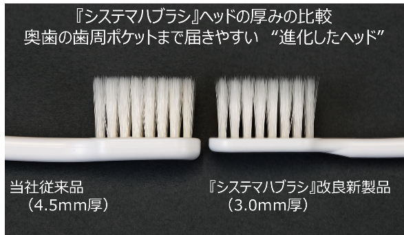 ライオン　薄型ヘッド